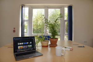 Inside a Williton enterprise centre meeting room. There's a large table with a laptop and plants. On one wall there are glass double doors.