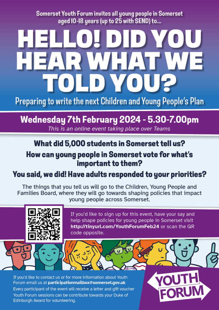 Somerset Youth Forum - Did you hear what we told you - Poster