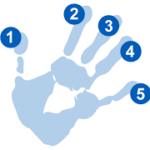 Blue handprint with numbers up to five on each finger