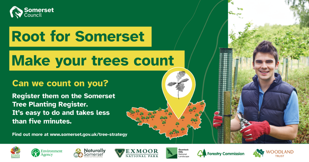 A man holding a young tree sapling beside wording that says Root for somerset. Make your trees count along with a link to the page to map newly planted trees