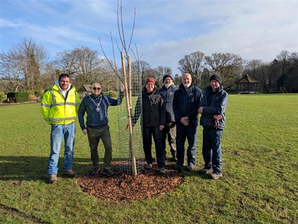 1. Tree planting at Collett Park Shepton Mallet : From left to right: Andy Turner (Landscaper, 360Landworks), Councillor David Crisfield (Chair), Angela Morley Garden Design Consultant with Gary, Trevor, Danny (Town Rangers)